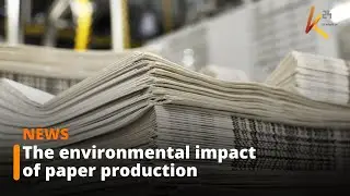 Digital Platforms: World confronts the environmental impact of paper production