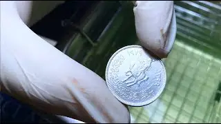 Cleaning of 1979 Libya Coin #VintageCoinSpa 🪙