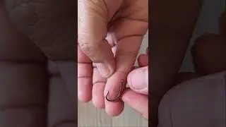 B.F.T live bait hooks