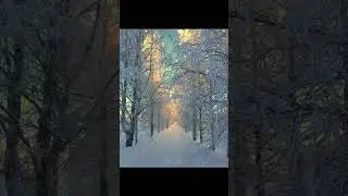 зима😍