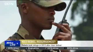 Uganda, AU, UN to meet with Congolese rebels to discuss threat