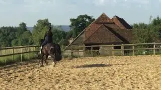 Kate Coyle Armley Dressage with Brynithon Knight (Nero) 15/06/22