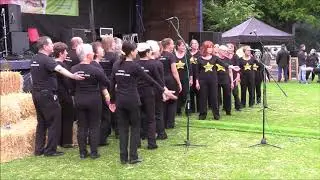 Mulbarton Festival 2019 - Rock Choir 