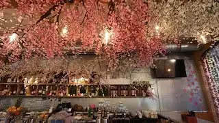 Cherry Blossom Pop-Up Bar in DC