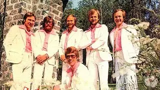 Vikingarna - Precis Som Ferdinand (kar)