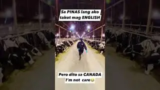 ENGLISH COW  in CANADA #buhaycanada #pinoycanada #fypviralシ #viralpost #trendingreels