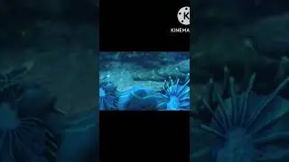 lost lands 1 video clip