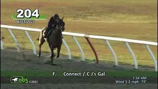 Hidden Connection breeze video as a 2yo