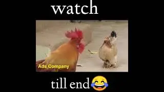 Double meaning ads #funny