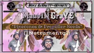 &ldquo;Pinecones & Propeller Seeds&rdquo; (Mix 02)by: MauvIN GraYE #mikebennettinfiniteismauvingraye 🌸&🌫️