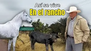A mis 82 años vivo del campo y de mis animalitos