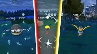 NEW HIGH ZAPITITUDE EVENT IS LIVE IN POKEMON GO! Shiny Tadbulb Spawns / Shiny Toxel Eggs! #shorts