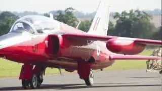 Folland Gnat's  - 'Nibbling the Buffet'