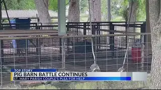 Pig barn battle continues