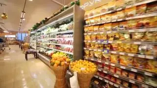 YEVO Dr. Stacey Bell explains - What are essential nutrients?