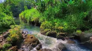 Calming River Sounds &ndash; 10 Hours of Natural ASMR for Focus & Anxiety Calm