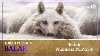 Wolves In Sheep's Clothing - How To Discern The False Prophets - Torah Portion Balak
