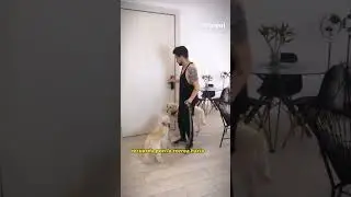C&oacute;mo calmar a tu perro antes de salir a PASEAR 🐕✅