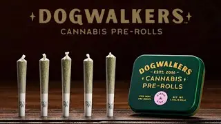 Crossing the Indiana border for marijuana in Illinois