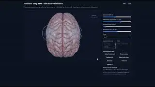 New Deep TMS Radionics Software: Energy Simulator Inspired by Medical TMS