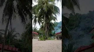 Кокосовый Остров в Тихом Океане #travel #russia #shortsvideo #philippines #trending #relaxing