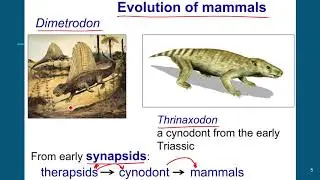 Paleobiology