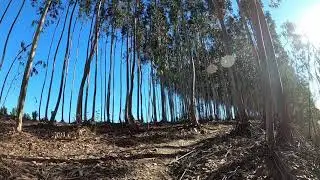XC Mountain Biking | BTT | Bike Ride | 29/01/2023