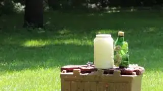 40 oz Mickeys bottle filled with mashed potato vs 20 ga shotgun 060