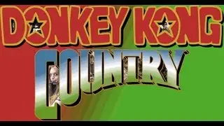 Donkey Kong Country - Jungle Groove (Cover)