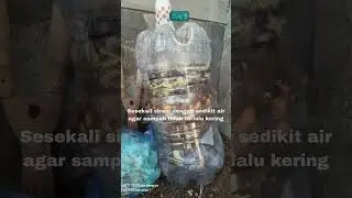 Tugas Komposting Kelompok 5 #sampah #komposorganik #diknas