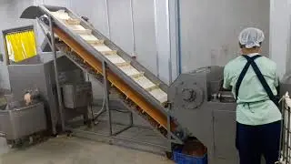 frozen meat flaker QP5230 conveyor JR130
