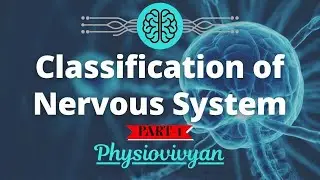 Classification of Nervous system l Introduction of Nervous system l C.N.S l P.N.S | Neuroanatomy