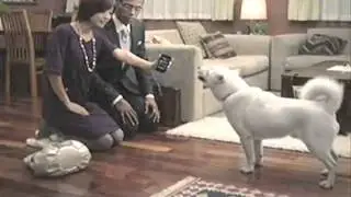 上戸彩SoftBank　CM集その1
