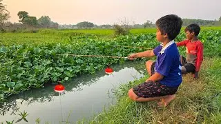 Fishing Video | The boys always catches a lot of fish from the paddy field canal | Fishing Trap 2026