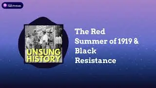 The Red Summer of 1919 & Black Resistance | Unsung History