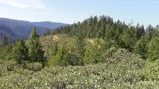 Halls Ranch Trail to Fiddle Creek