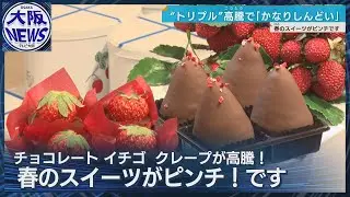 【予算は2万円】チョコを愛する人が殺到！吟味は2024年より辛口？イチゴ、そしてクレープは？物価高のスイーツ事情
