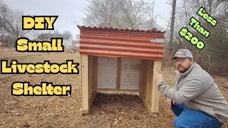 DIY Small Livestock Shelter Build | I Used No Plans!
