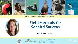 #3 Field Methods for Seabird Surveys