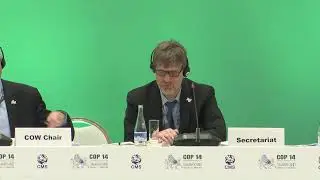 CMS COP14 - 3rd Day Plenary [RUSSIAN] / 14 Feb morning session