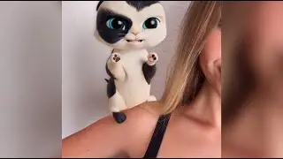 My Cat | Cute but fierce! Watch me go grrr 😼🔥 #sassycat #inthetrend #growlmode #mycatgame