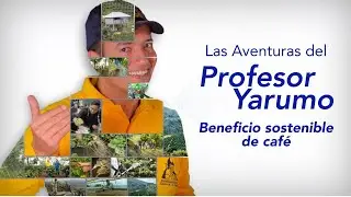 LAS AVENTURAS DEL PROFESOR YARUMO: BENEFICIO SOSTENIBLE DE CAF&Eacute;