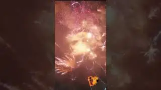 Happy Chinese New Year 2022🐯虎年快乐❤恭喜发财 万事如意