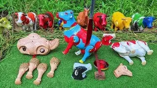 PROSES POTONG SAPI QURBAN !! SIMULASI POTONG SAPI COW MILK COW CARTOON