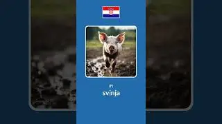 10 Common Animal Names in Croatian