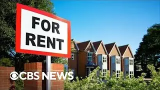 Senate hearing examines how today's housing market affects Americans | full video
