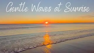 Gentle Waves, Sunrise and Sandpipers on a Breezy Morning