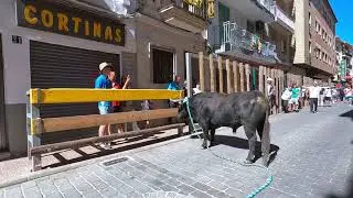 Carcabuey Congreso Nacional toro de cuerda XIX Beas de segura 2024