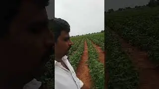 #agriculturalsystem #farmingsystem