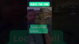 Test your knowledge: Famous Vines quiz challenge || #viral #vines #quiz